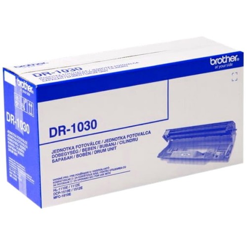 DR1030.jpg