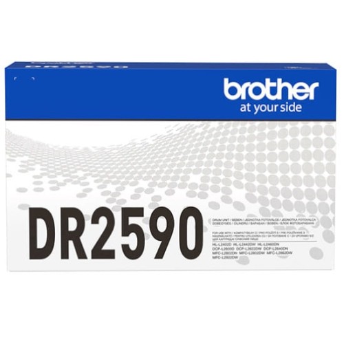 DR2590_002.jpg