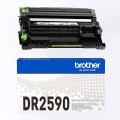 DR2590_03.jpg